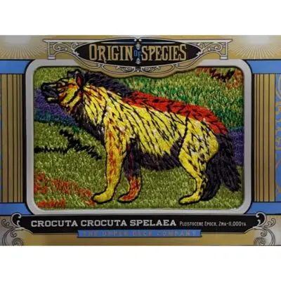 Upper deck origin of species, Arctodus patch