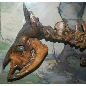Fossil Bison Tooth – Florida