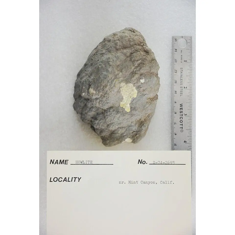 Howlite polished stand up, stark white color with grey veining