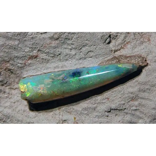 opalized fossil belemite