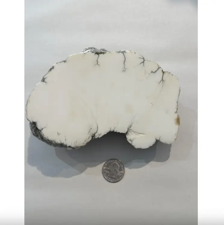 Howlite, California, White with grey veins, gorgeous