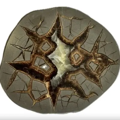 Septarian Slice, Utah, Giraffe markings