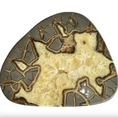 Septarian Slice, Utah, Calicite center