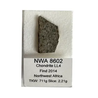 Meteorite, NWA 4841, Chondrite LL5