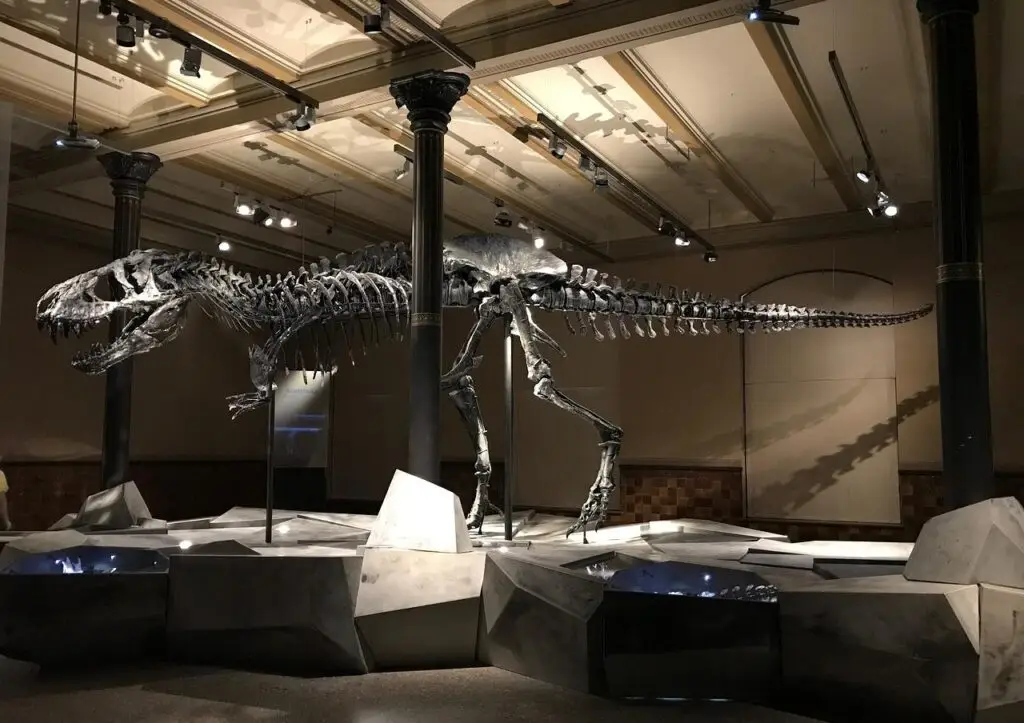 dinosaur-museum-t-rex-2368476-e1711773971294-1024x723 - Prehistoricoregon