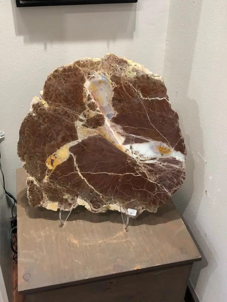 image1-3-768x1024 - Prehistoricoregon