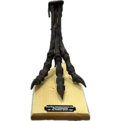 Velociraptor foot Replica, custom base