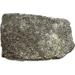 Saltasaurus Dinosaur Eggshell
