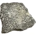 Saltasaurus Dinosaur Eggshell