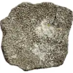 Saltasaurus Dinosaur Eggshell