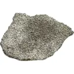 Saltasaurus Dinosaur Eggshell