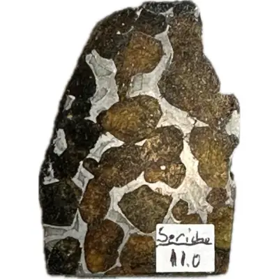 Meteorite, Sericho, end cut