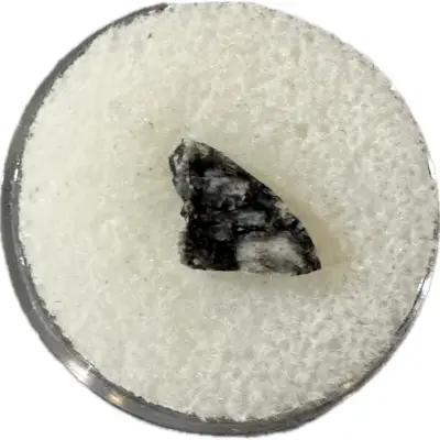 Moon rock, end cut, NWA 11428 IMCA