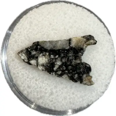 Lunar Meteorite, NWA 11428
