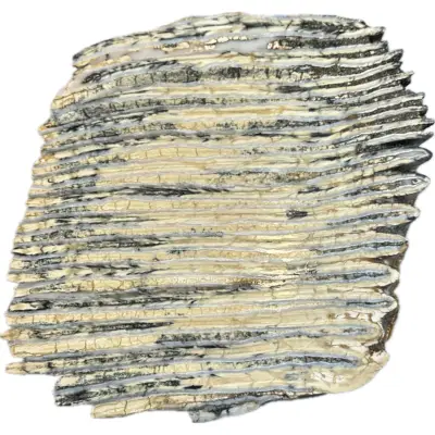 Mammoth Astragalus bone, Florida