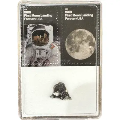 Lunar Meteorite, NWA 16106