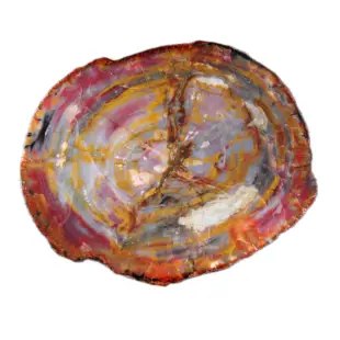 Petrified wood products