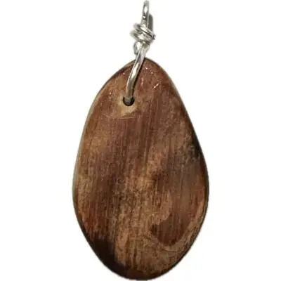 Petrified wood pendant, Oregon