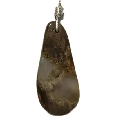 Petrified wood pendant, Oregon