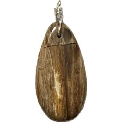 Petrified wood pendant, Local