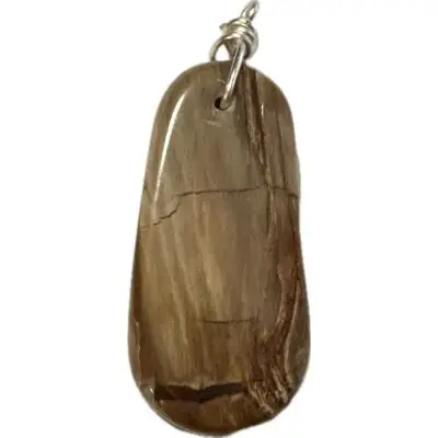 Petrified wood pendant, Local made