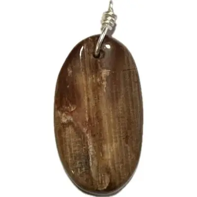 Petrified wood pendant, Oregon
