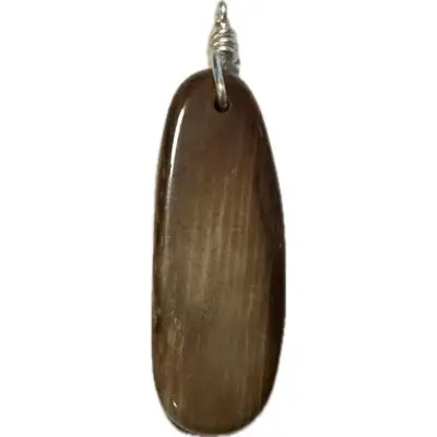 Petrified wood pendant, locally wrapped