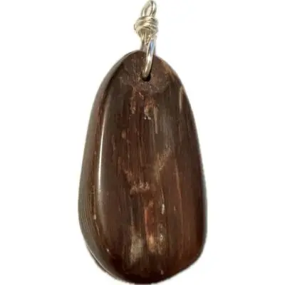 Petrified wood pendant, rich color
