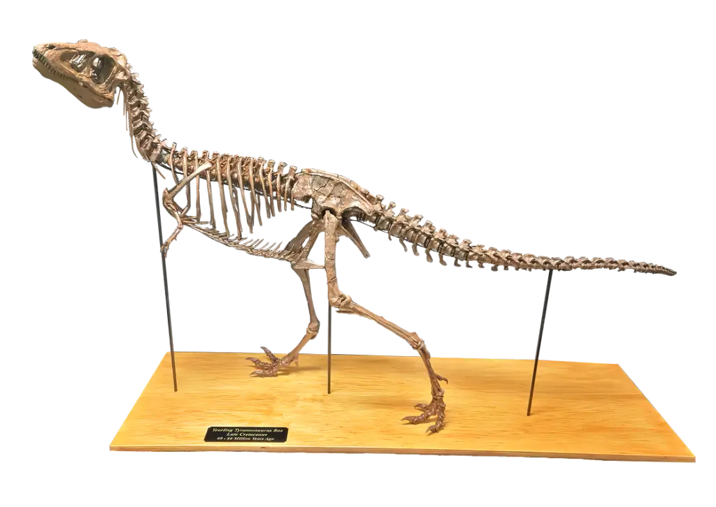 img_4524-1024x726 - Prehistoricoregon