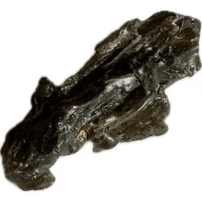 Darwin Glass, 5.80g tektite