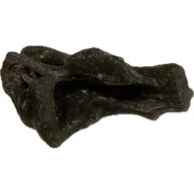 Darwin Glass, 5.80g tektite
