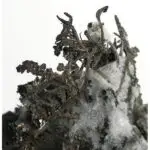 Native Silver Crystals thumbnail, Peru
