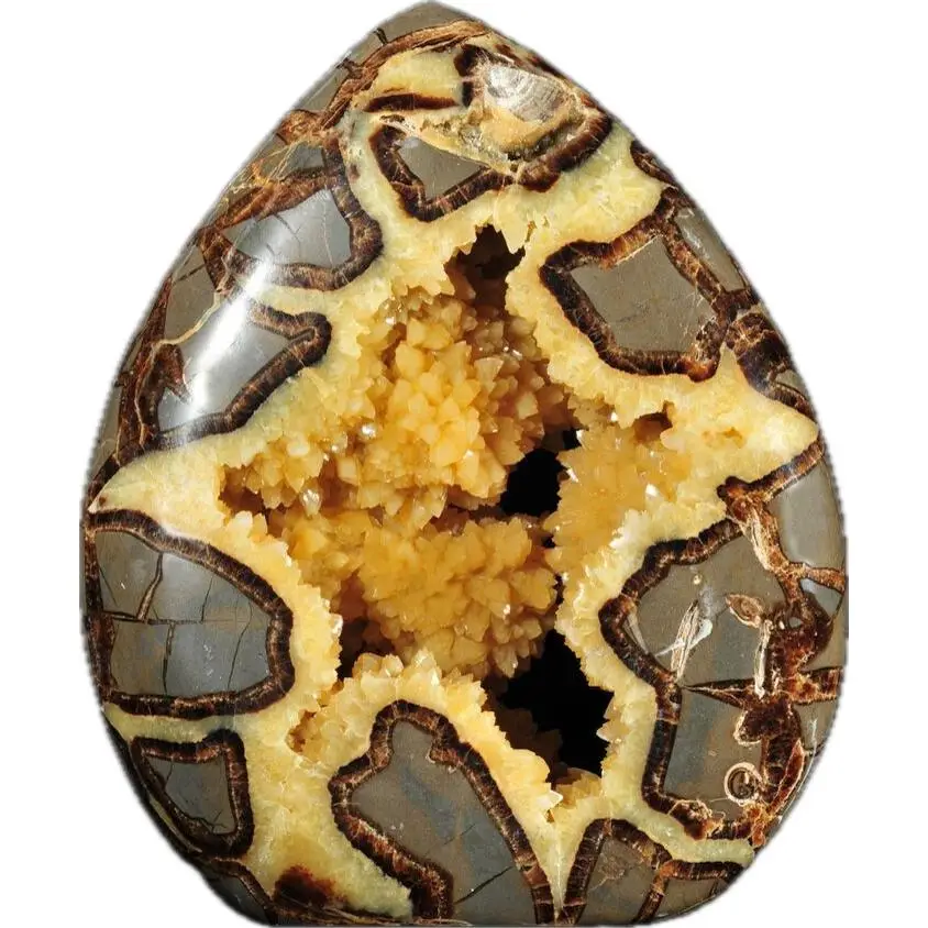 Septarian Stand up –  Utah