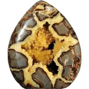 Septarian Stand up –  Utah