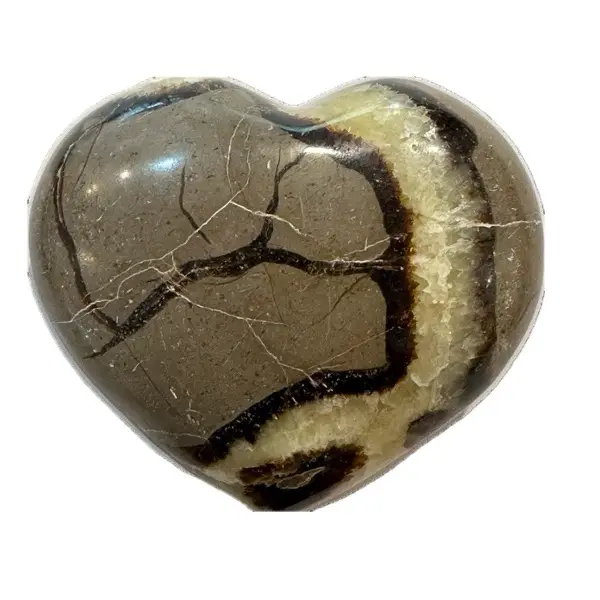 Septarian Stand up –  Utah