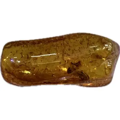 Amber with Bugs, Lithuania