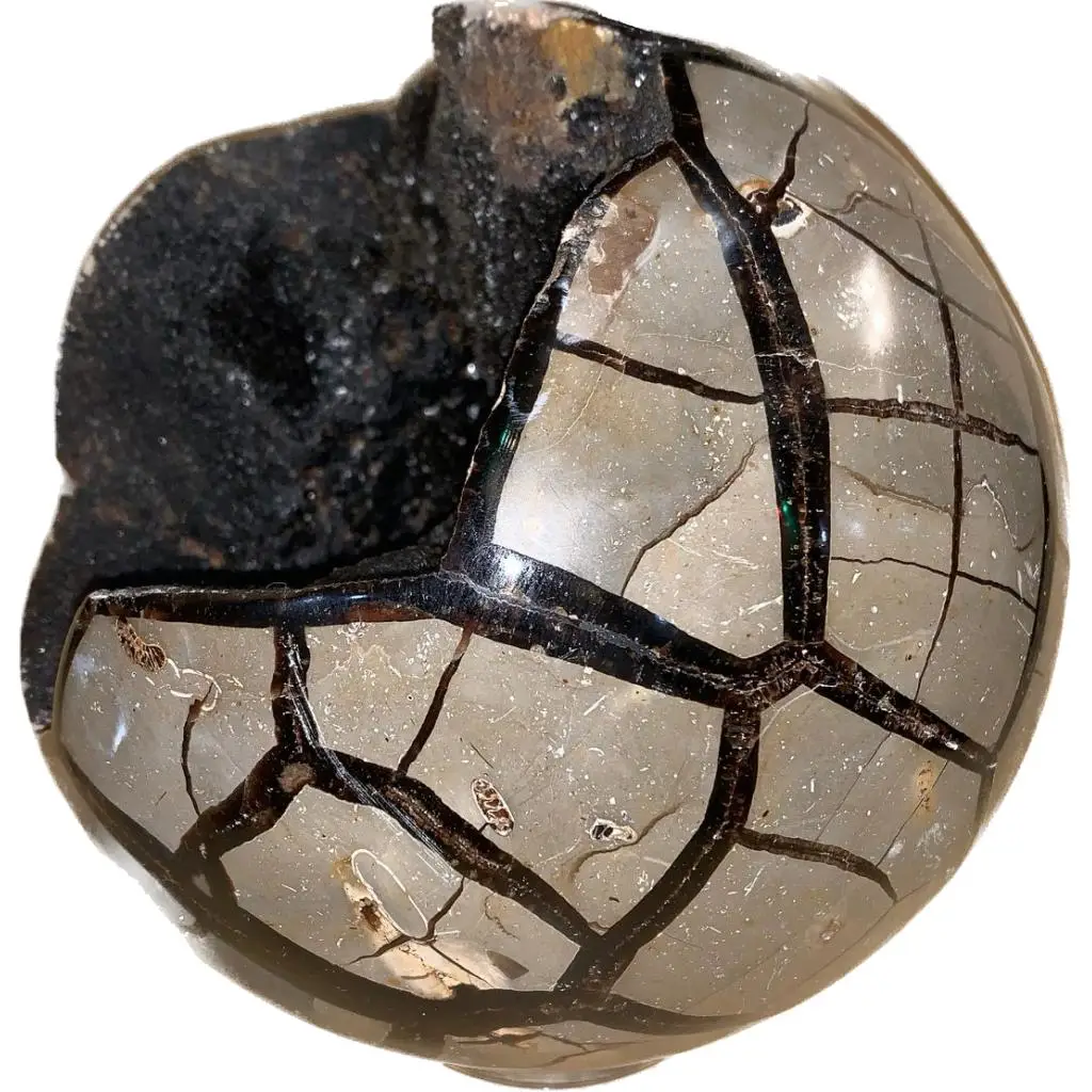 Septarian Stand up –  Utah