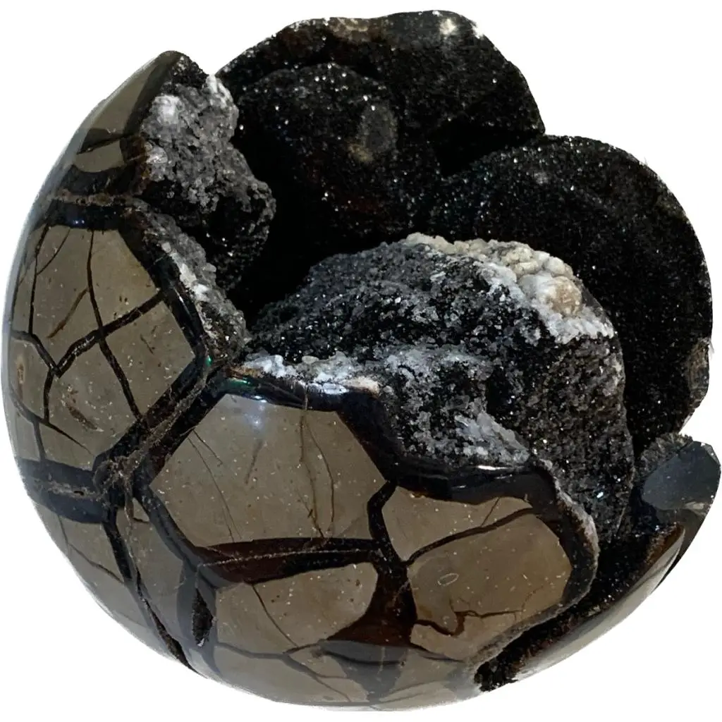 Septarian Stand up –  Utah