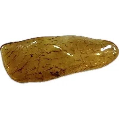 Amber with Bugs, Lithuania