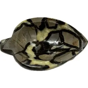 Septarian Stand up –  Utah