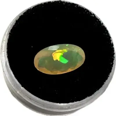 Opalized Clam, Coober Pedy