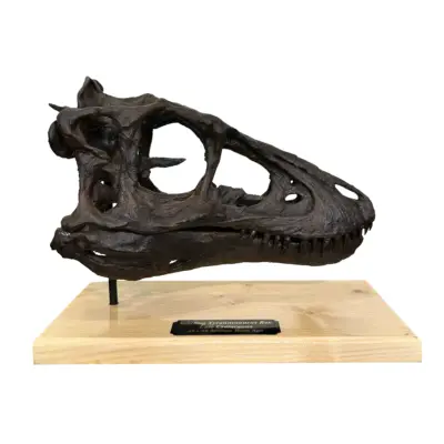Trex replica tooth with root