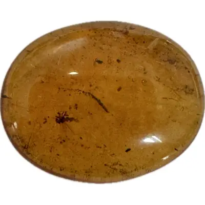 Amber with Bugs , Lithuania