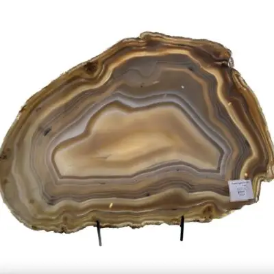 Agate Slice, Dyed,  Brazil