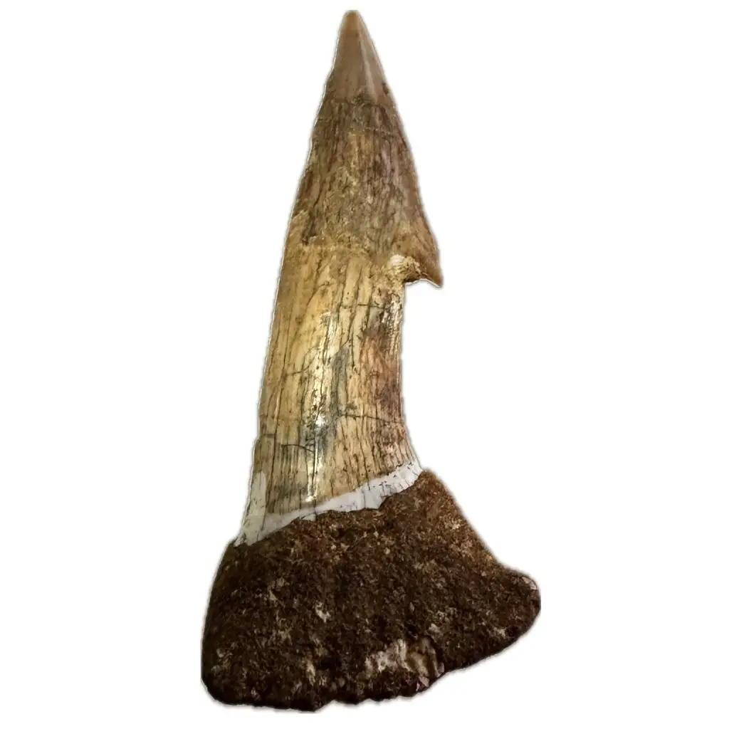 untitled_artwork-1-719x1024-1 - Prehistoricoregon
