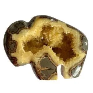 Septarian Stand up –  Utah