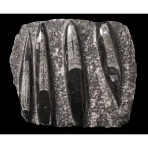 Orthoceras Tear, Spiritual Healing