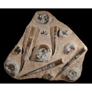 Orthoceras Tear, Spiritual Healing