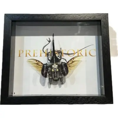 Steampunk taxidermy Bat, LED eyes