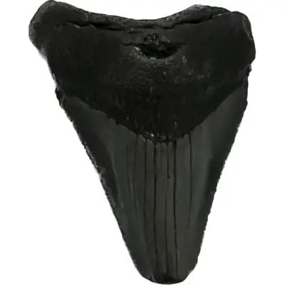 Selenite Candle Holder, Morocco